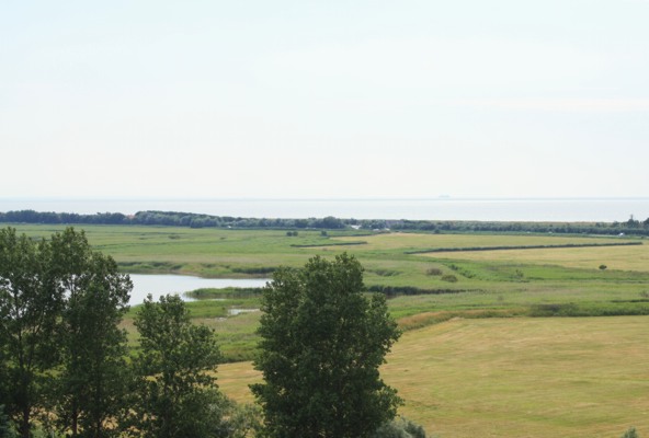 Landschaft zwischen Bodden und Ostsee