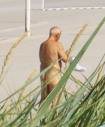 FKK Urlaub an der Ostsee FKK Urlaub an der Ostsee